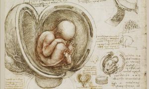 Leonardo da Vinci: sketch of feotus in the womb