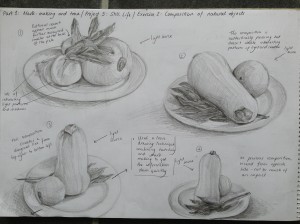 Composition sketches of natural objects, 2B pencil