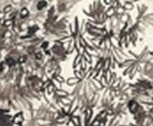 Detail of flowers from The Cottage Garden, 1888