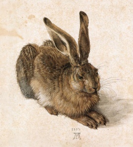 Young Hare, watercolour, 1502