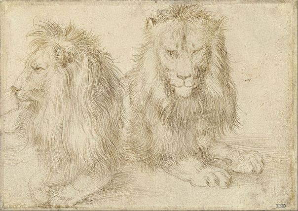 Albrecht Durer: Two Seated Lions, 1521