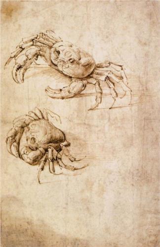 Leonardo da Vinci - Crab Studies