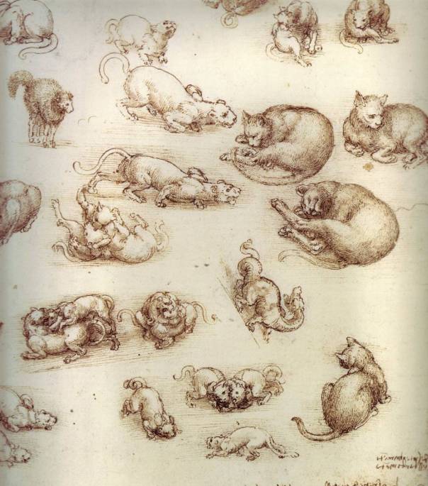 Leonardo da Vinci: Studies of Cats and Other Animals, c. 1513